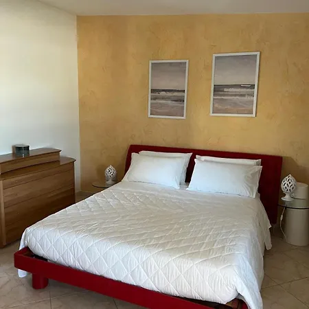 Damare טאראנטו